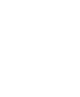 Data Networks Icon